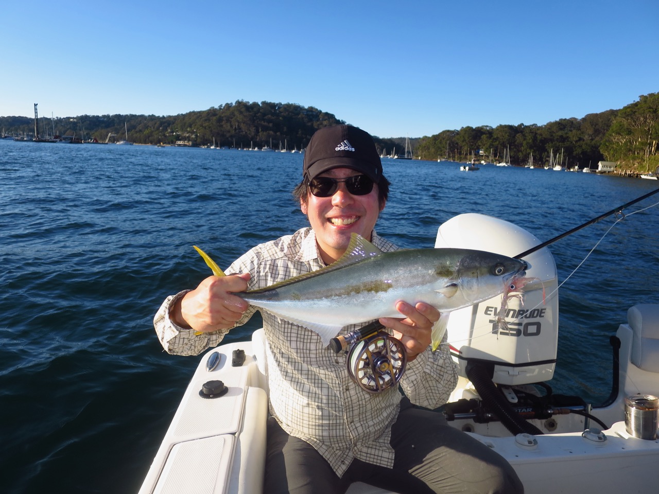 Flyfishing for Kingfish in Pittwater, Sydney Life, the Universe and