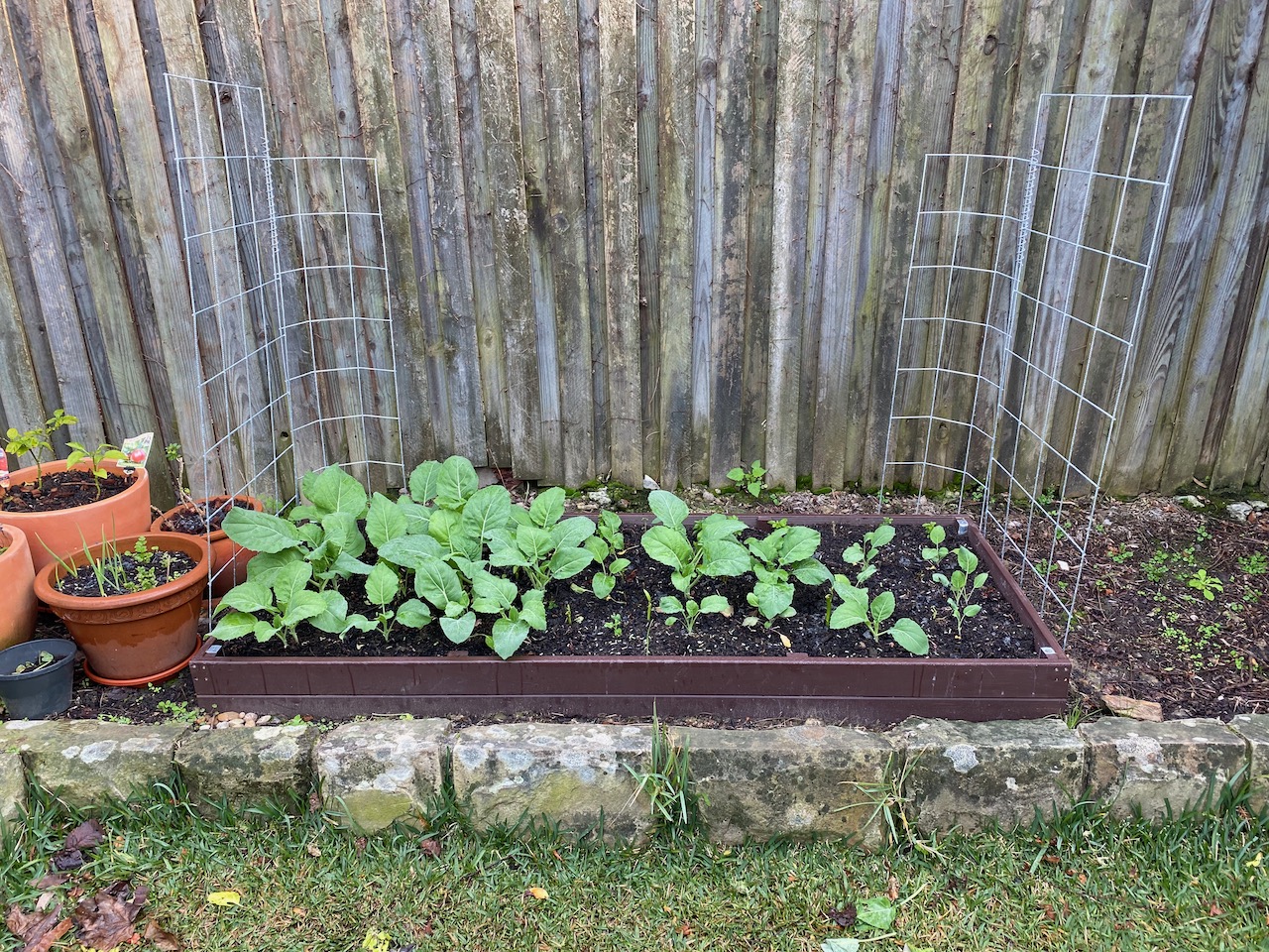 Raised Garden Bed