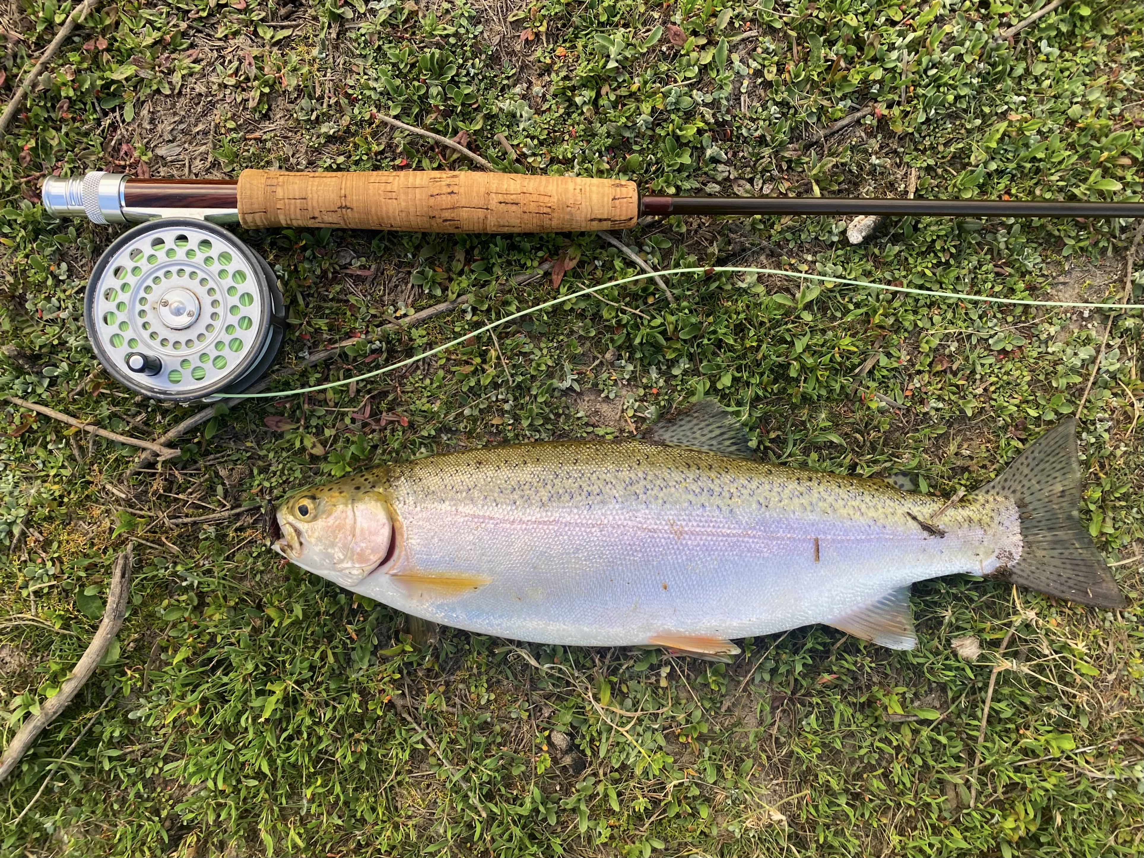 Lake Eucumbene - who would go trout fishing during a heatwave?