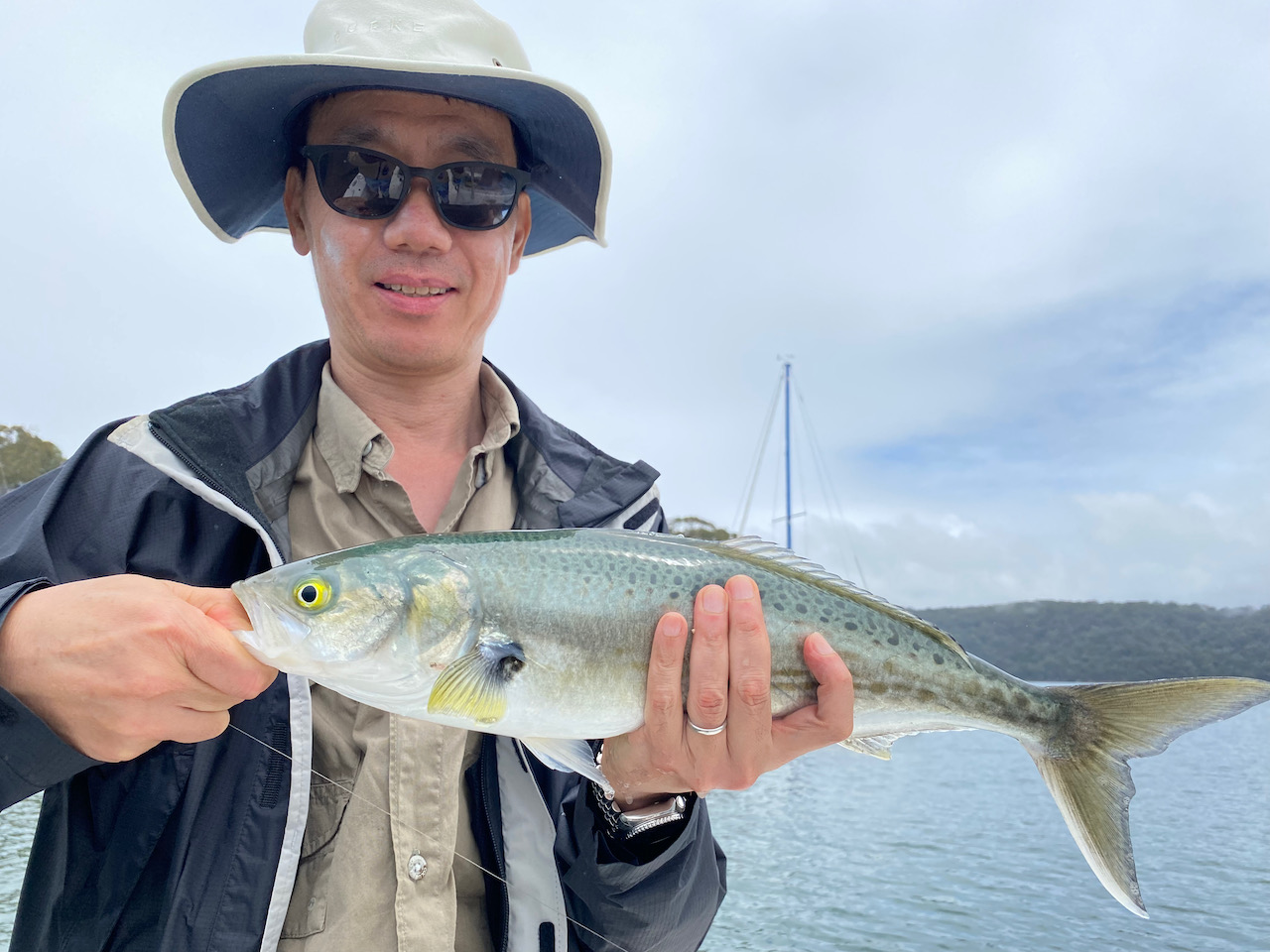 Fly-fishing for Kingfish, Flathead and Salmon in Pittwater, Nov 2021